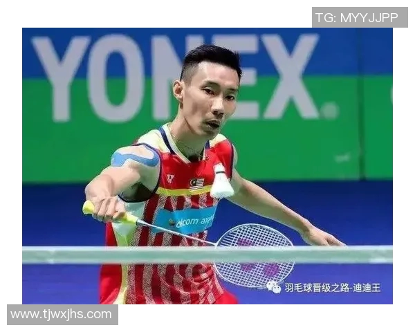 深圳羽毛球队反击之路：胜利与失利的深度分析与反思