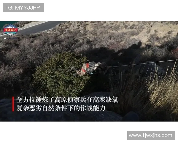 北京极限运动队耐力表现数据分析与训练策略探讨