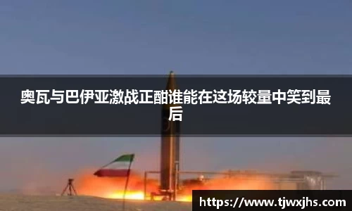 3377体育官网