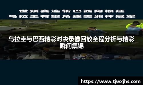 3377体育APP