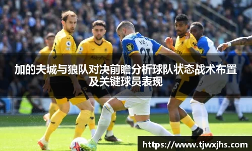 3377体育官网