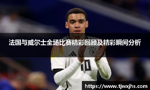 法国与威尔士全场比赛精彩回顾及精彩瞬间分析